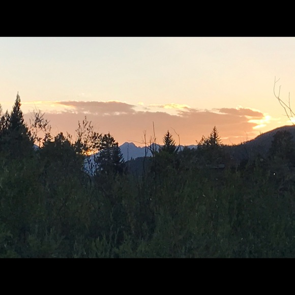 Meet your Posher, Ginny - Picture 1 of 1